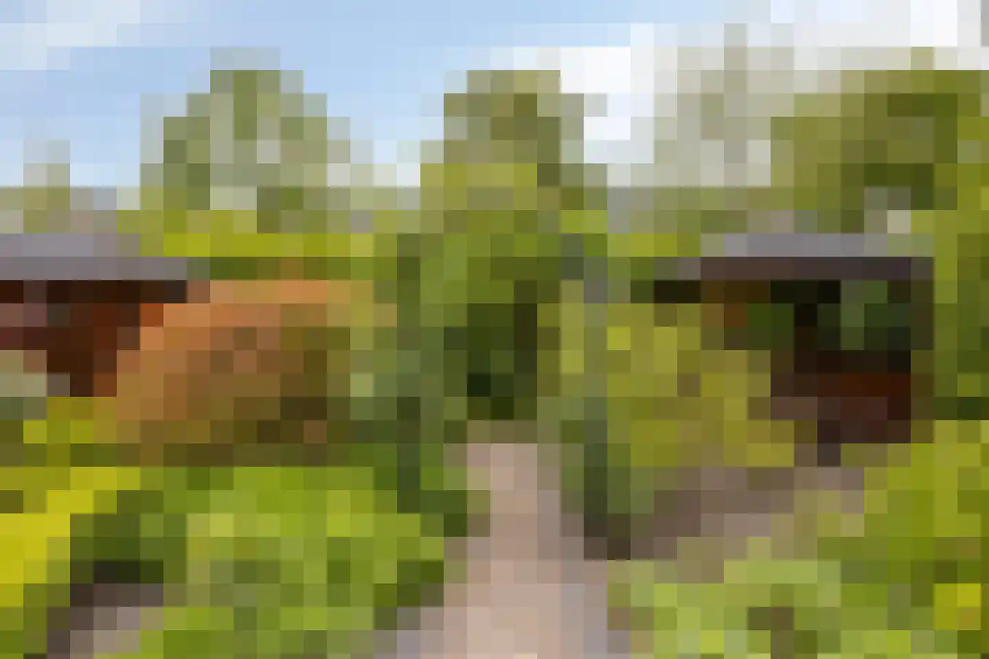 De Elzent 12 Dorst thumbnail 33