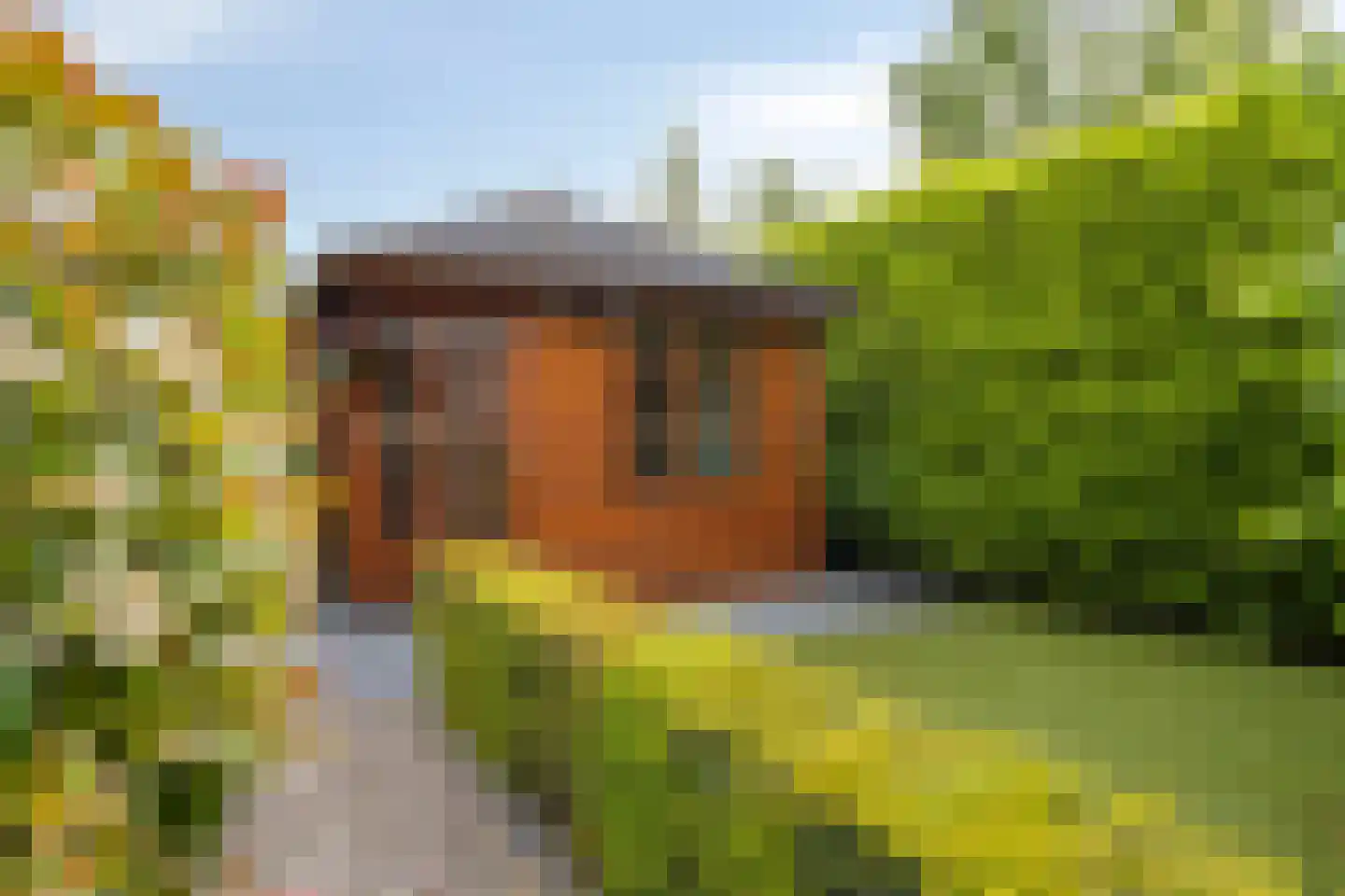 De Elzent 12 Dorst thumbnail 35