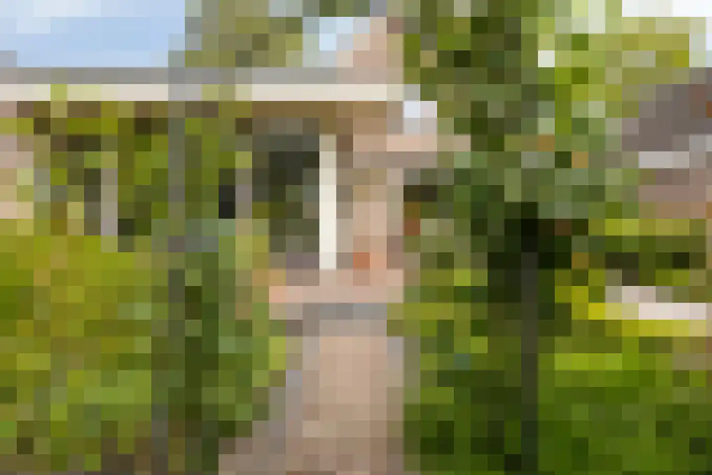 De Elzent 12 Dorst thumbnail 36