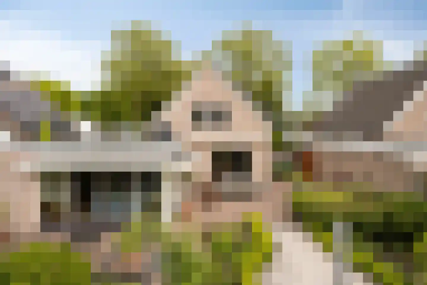 De Elzent 12 Dorst thumbnail 38