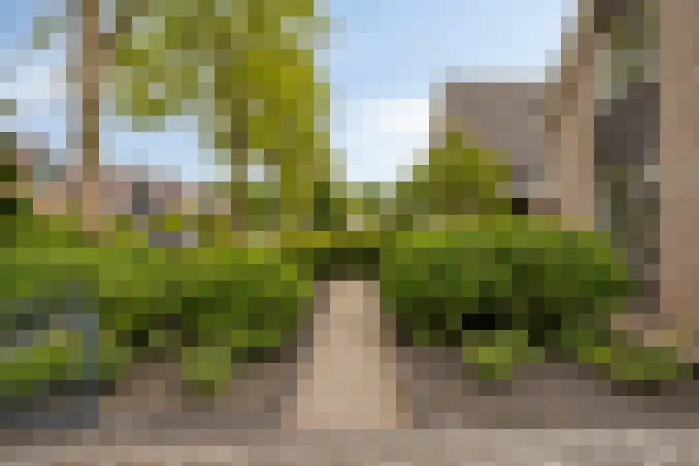 De Elzent 12 Dorst thumbnail 39