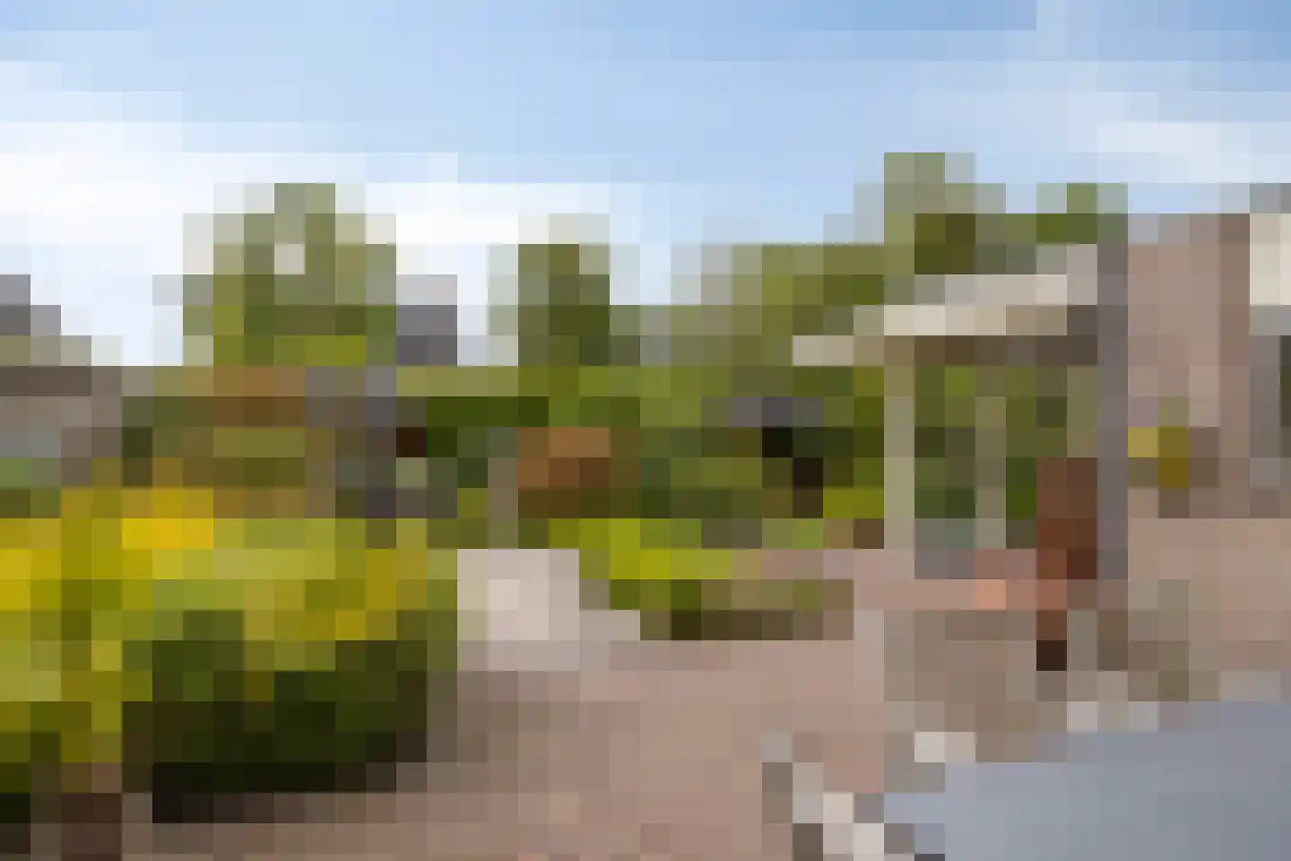 De Elzent 12 Dorst thumbnail 4