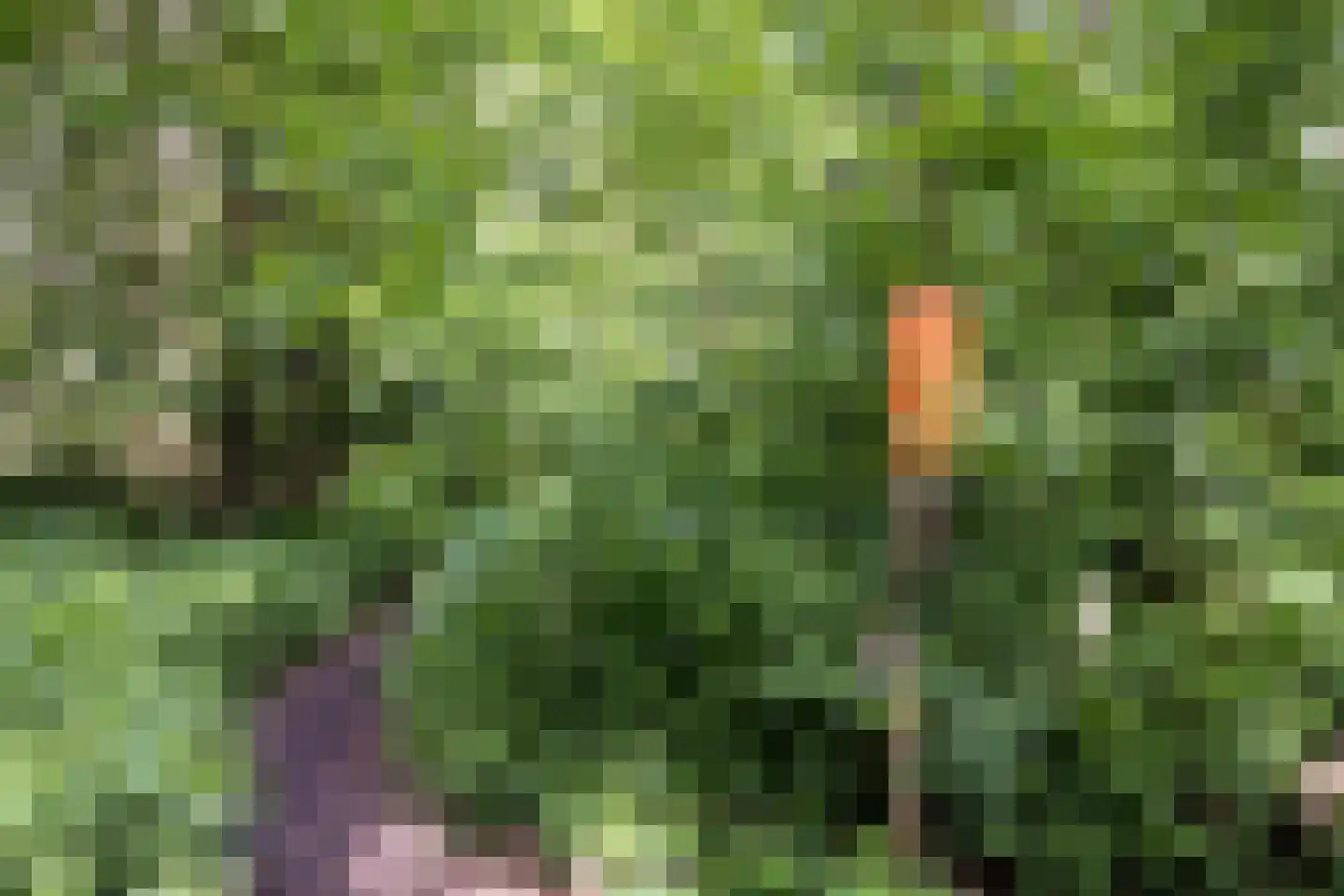 De Elzent 12 Dorst thumbnail 40