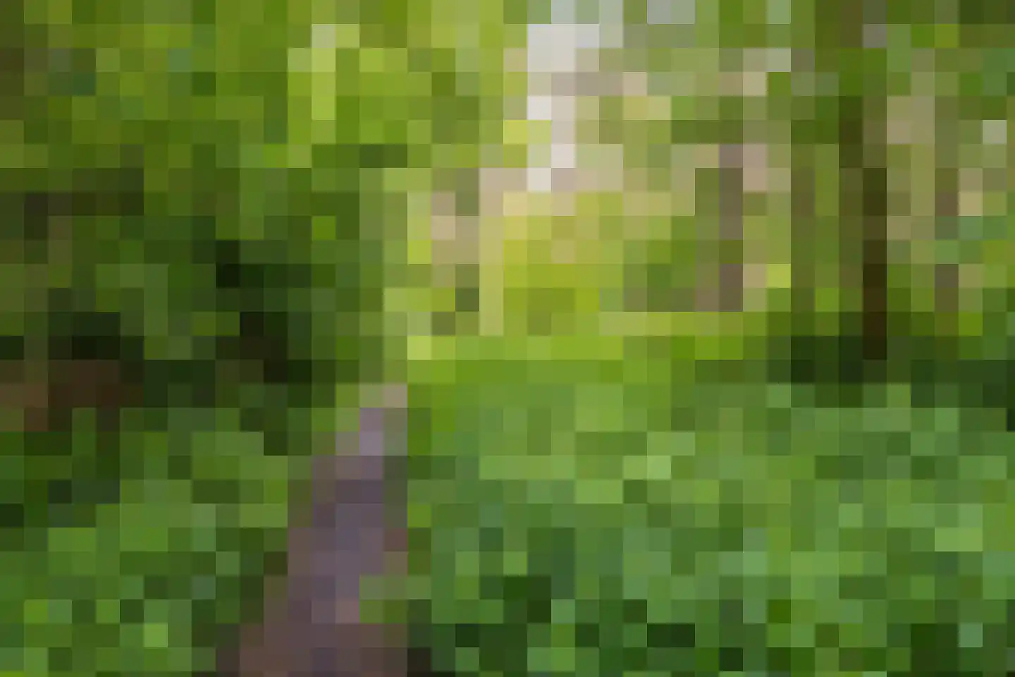 De Elzent 12 Dorst thumbnail 41