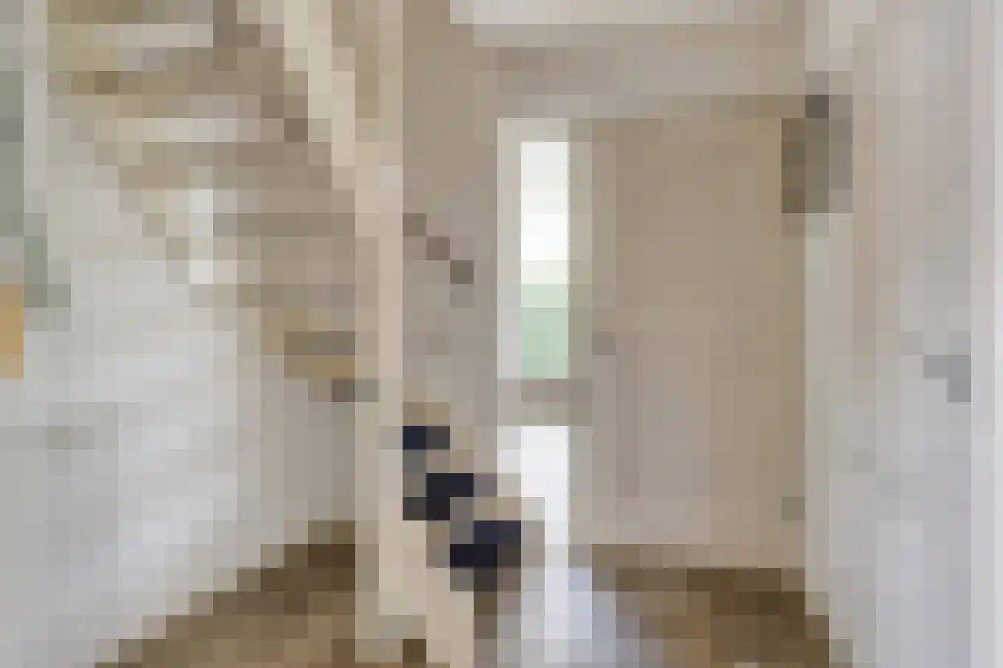 De Elzent 12 Dorst thumbnail 5