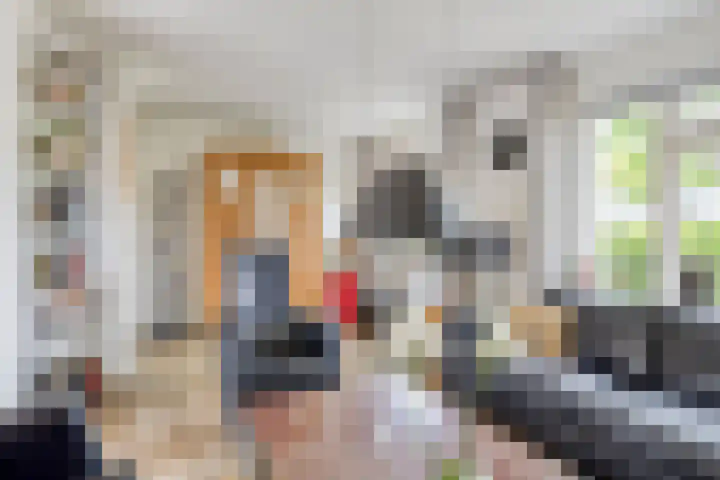 De Elzent 12 Dorst thumbnail 8