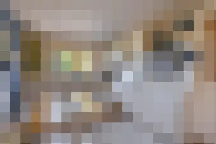 De Emma 2 a Drachten thumbnail 16