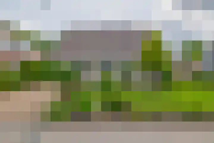 De Emma 2 a Drachten thumbnail 38