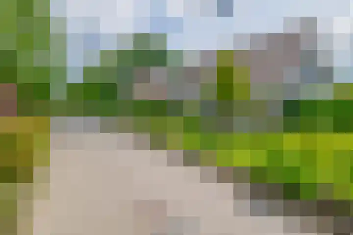 De Emma 2 a Drachten thumbnail 39