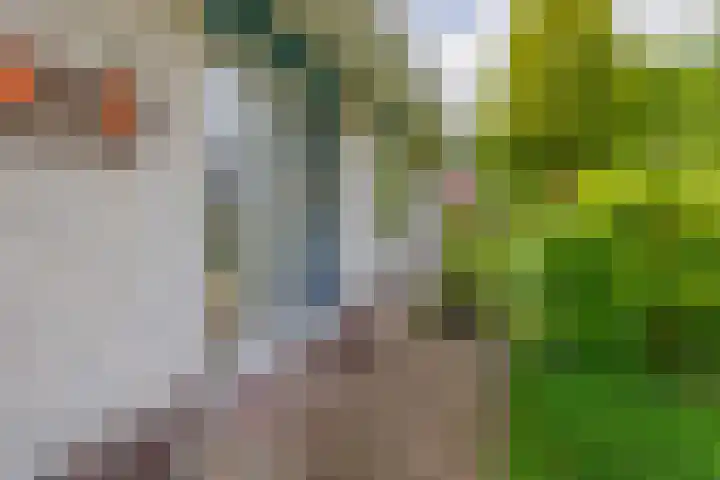 De Emma 2 a Drachten thumbnail 40