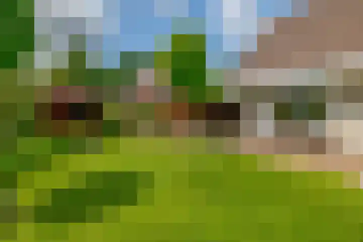 De Emma 2 a Drachten thumbnail 47