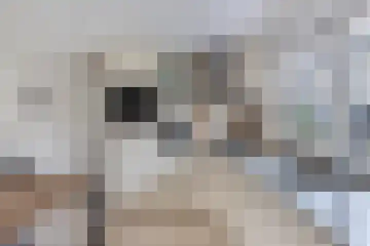 De Emma 2 b Drachten thumbnail 22