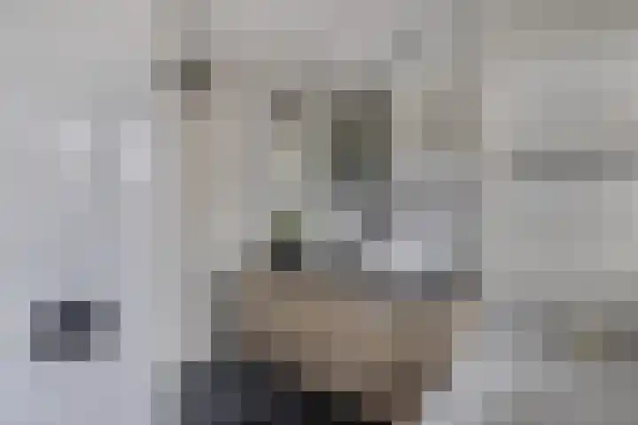 De Emma 2 b Drachten thumbnail 37
