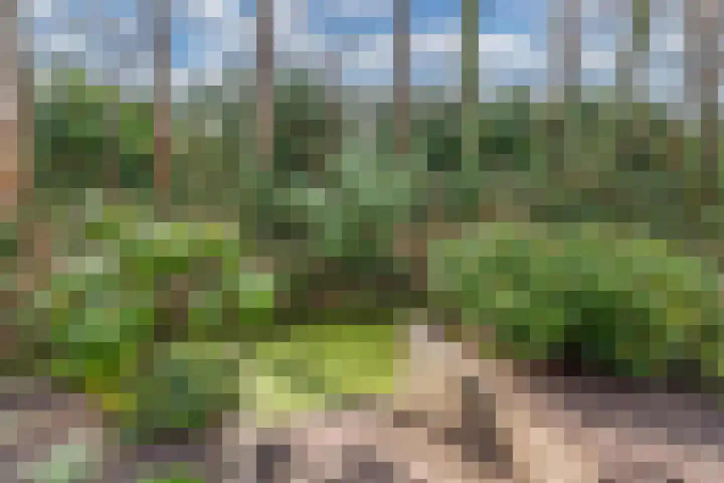 De Emma 2 b Drachten thumbnail 55