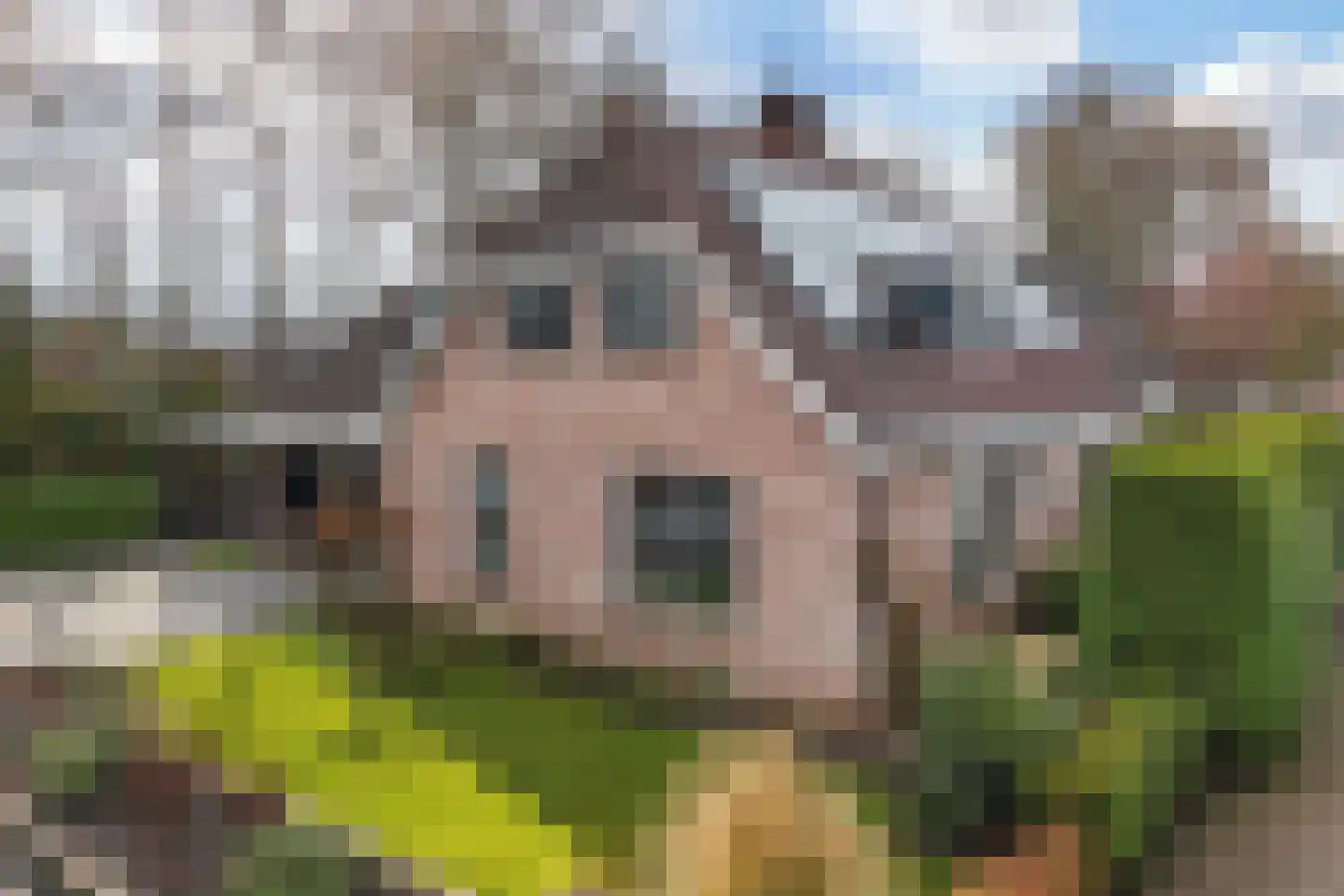 De Emma 2 b Drachten thumbnail 59