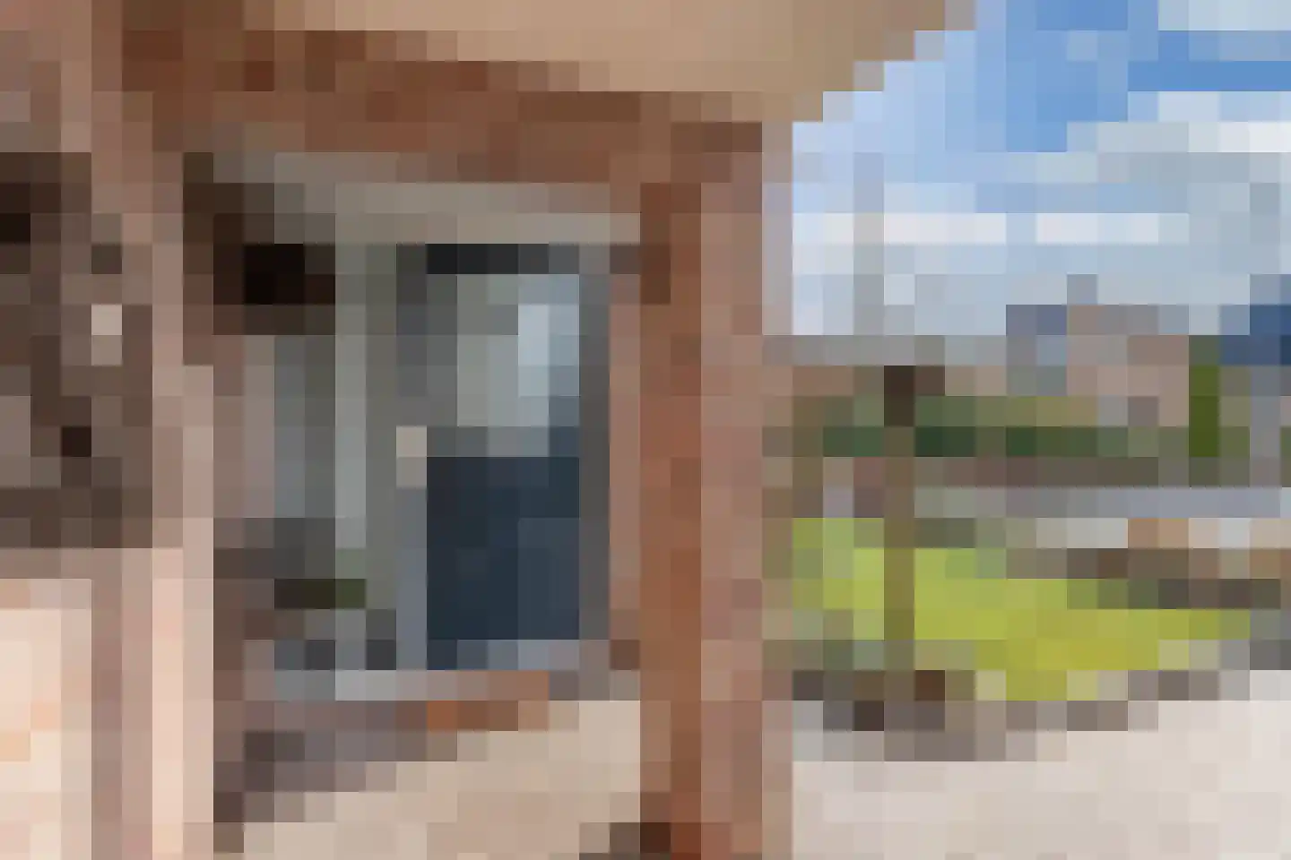 De Emma 2 b Drachten thumbnail 7
