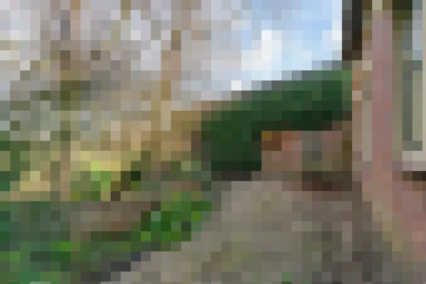 De Eng 1 Kapel Avezaath thumbnail 36