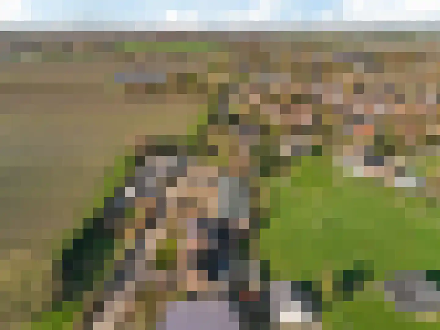De Eng 1 Kapel Avezaath thumbnail 39