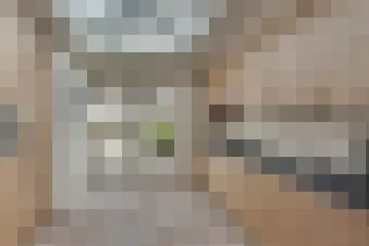 De Eng 10 't Goy thumbnail 10