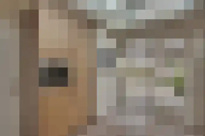 De Eng 10 't Goy thumbnail 11