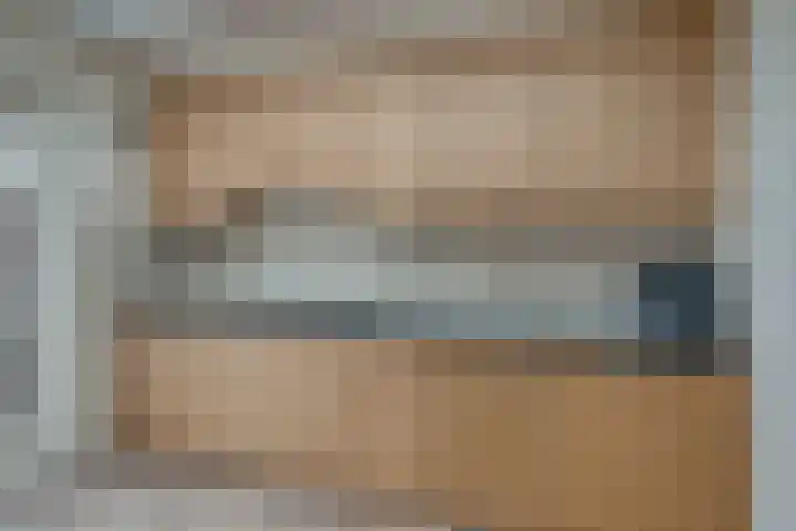 De Eng 10 't Goy thumbnail 12
