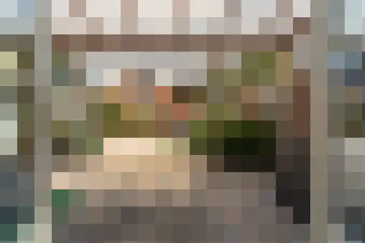 De Eng 10 't Goy thumbnail 13
