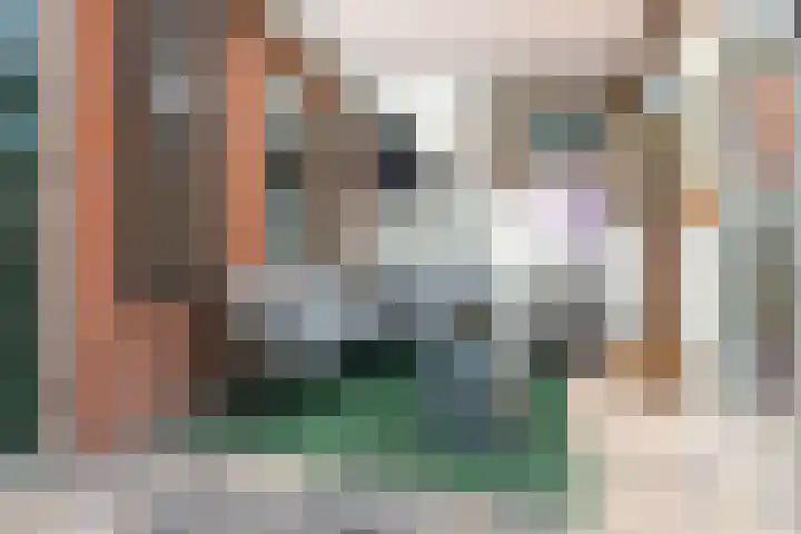 De Eng 10 't Goy thumbnail 14
