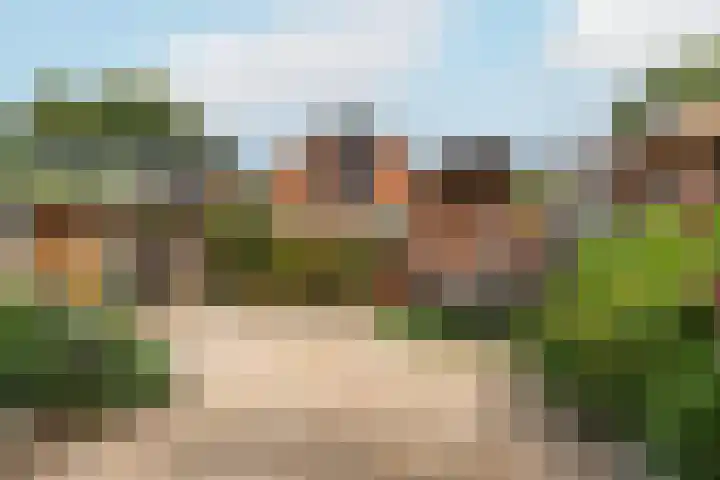 De Eng 10 't Goy thumbnail 15