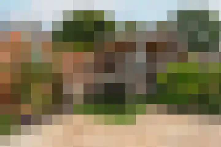 De Eng 10 't Goy thumbnail 16