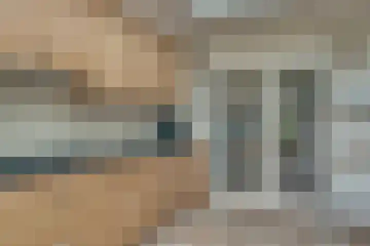 De Eng 10 't Goy thumbnail 18