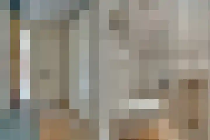 De Eng 10 't Goy thumbnail 19