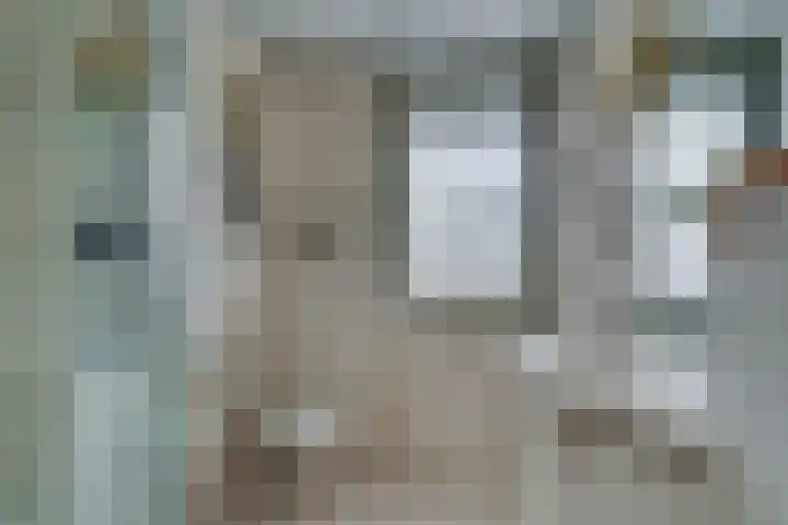 De Eng 10 't Goy thumbnail 23