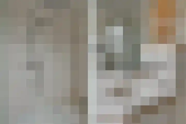 De Eng 10 't Goy thumbnail 24