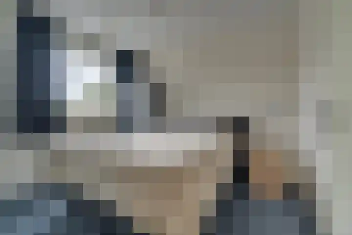 De Eng 10 't Goy thumbnail 25