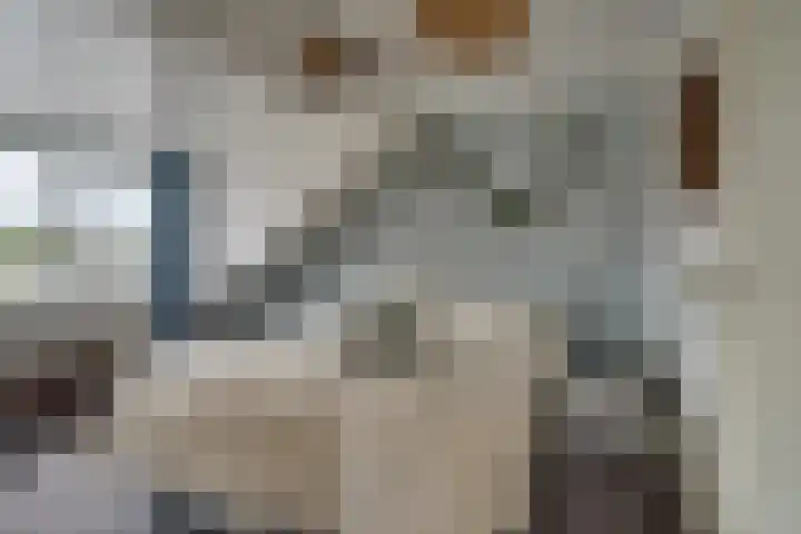 De Eng 10 't Goy thumbnail 27