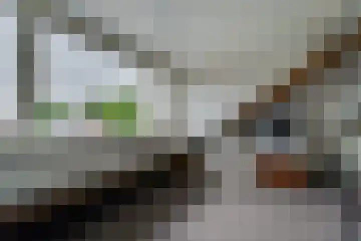 De Eng 10 't Goy thumbnail 29