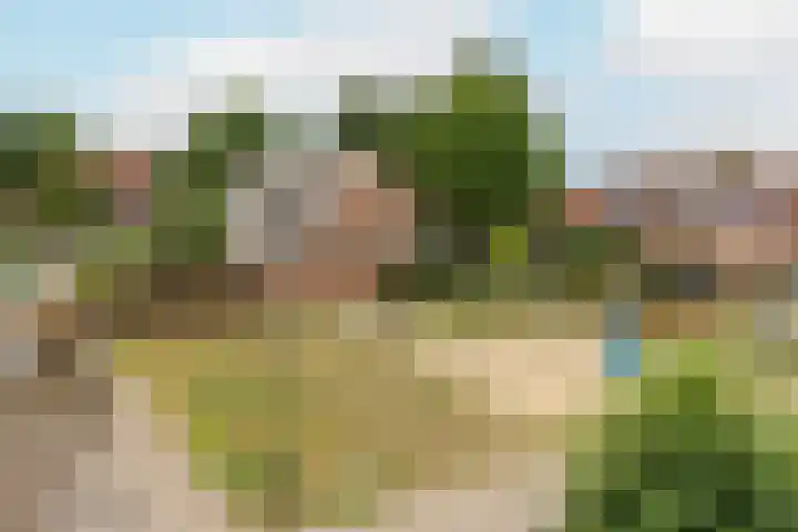 De Eng 10 't Goy thumbnail 30