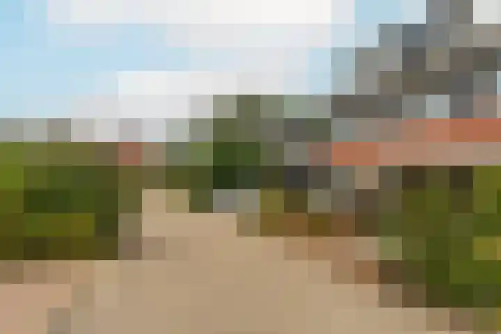 De Eng 10 't Goy thumbnail 31