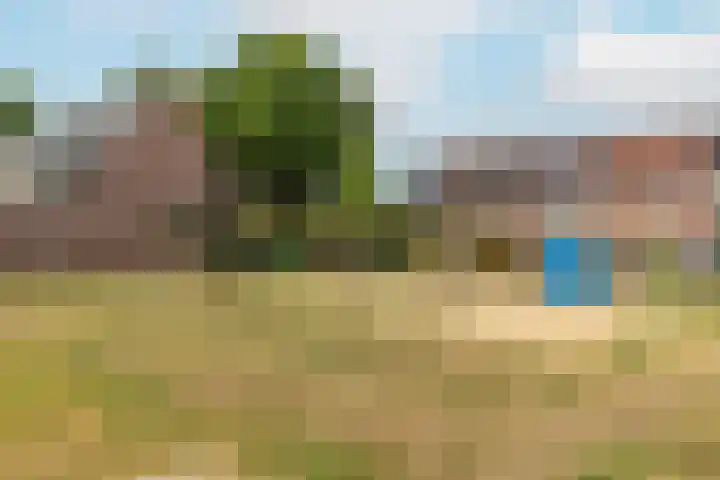 De Eng 10 't Goy thumbnail 33