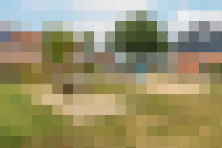 De Eng 10 't Goy thumbnail 34