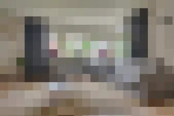 De Eng 10 't Goy thumbnail 5