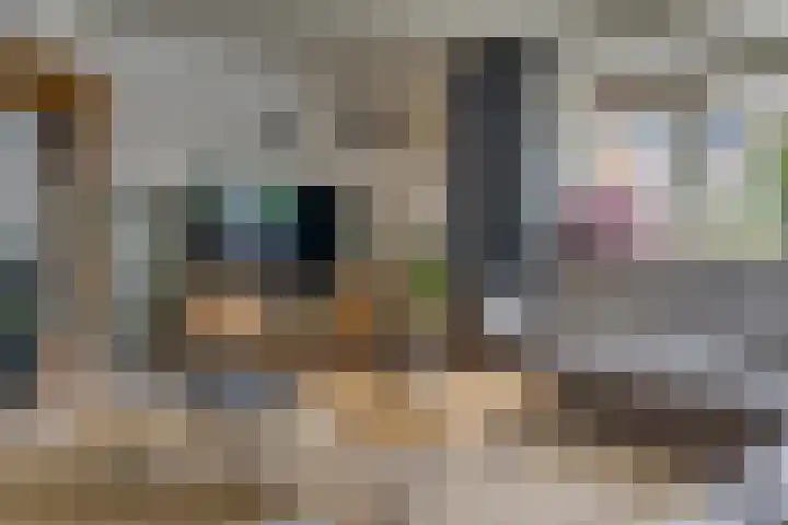 De Eng 10 't Goy thumbnail 6