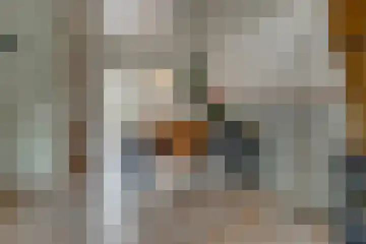 De Eng 10 't Goy thumbnail 8