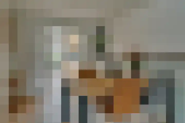 De Eng 10 't Goy thumbnail 9