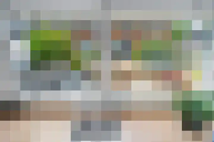 De Eng 12 't Goy thumbnail 10