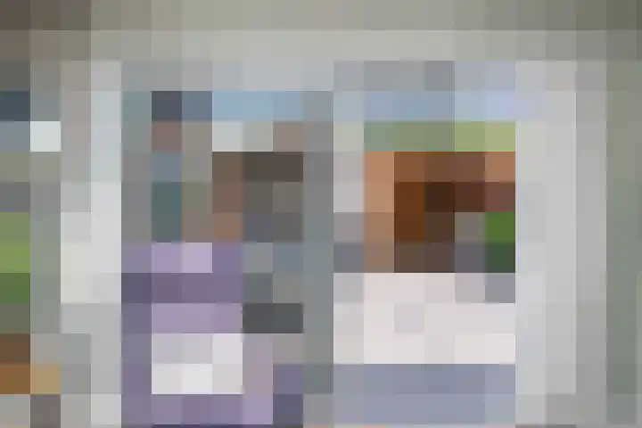 De Eng 12 't Goy thumbnail 12