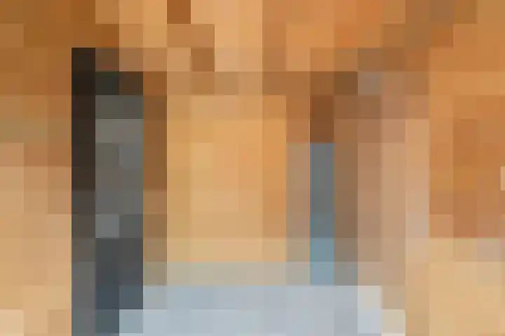 De Eng 12 't Goy thumbnail 16