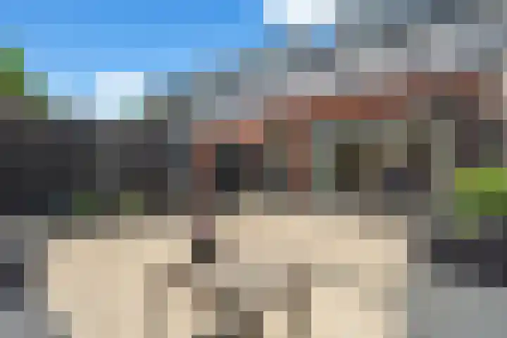 De Eng 12 't Goy thumbnail 18