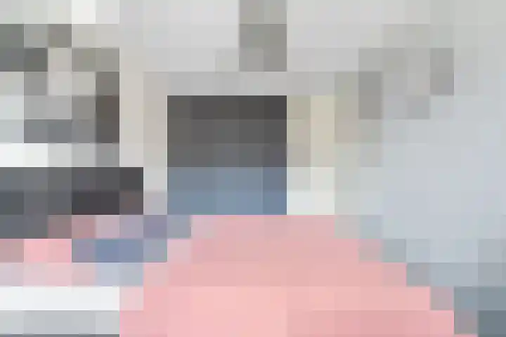 De Eng 12 't Goy thumbnail 20