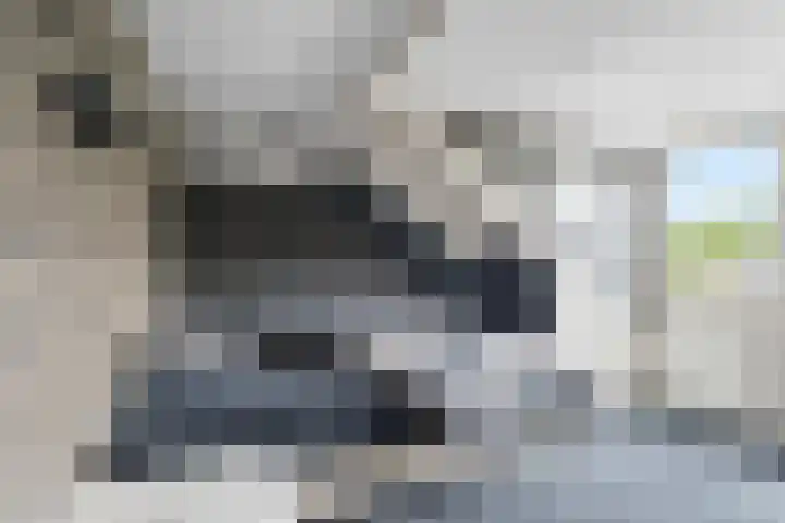 De Eng 12 't Goy thumbnail 28